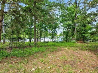 Seize the opportunity to own 1.15 acres of beautiful land on the - photo 22