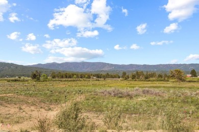 Lake Lot For Sale in Cascade, Idaho