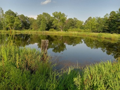 (private lake, pond, creek) Acreage For Sale in Heavener Oklahoma