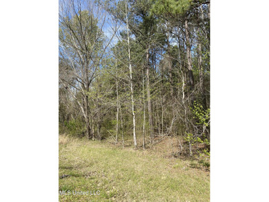 (private lake, pond, creek) Acreage For Sale in Canton Mississippi