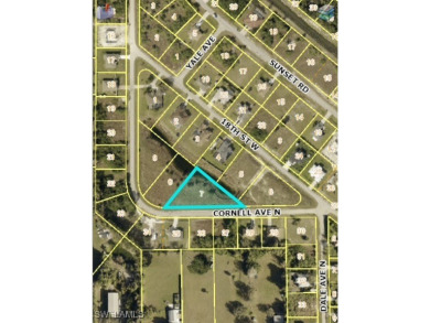 Lake Lot For Sale in Lehigh Acres, Florida