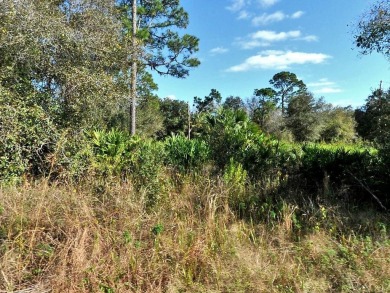 Northport Waterway Lakes and Canals Lot For Sale in North Port Florida