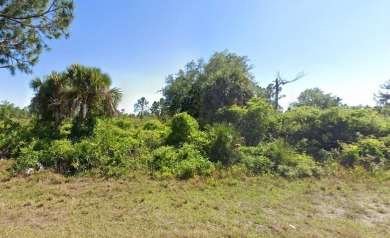 Port Charlotte Waterway Lakes Area Lot For Sale in Port Charlotte Florida