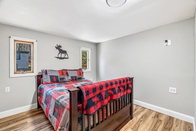 Your Year-Round Lakefront Retreat on Beautiful Springy Pond! - photo 22