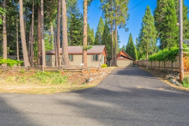 Lake Home For Sale in Trinity Center, California