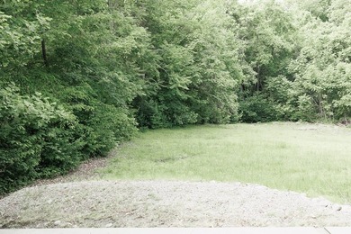 Welcome to Dale Hollow Lake living at its finest! Nestled just - photo 33