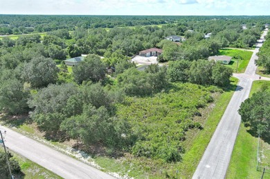 Lehigh Acres Area Lot For Sale in Lehigh Acres Florida