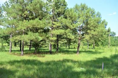 (private lake, pond, creek) Lot For Sale in Mccomb Mississippi