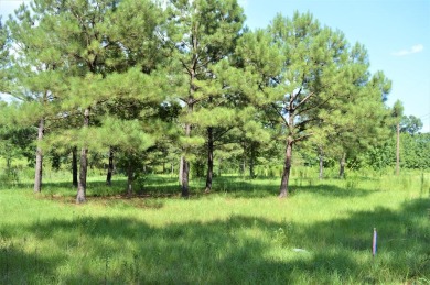  Acreage For Sale in Mccomb Mississippi