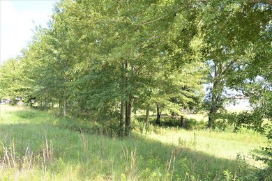 +/- 5 acres located in Fernwood Estates Subdivision across the - photo 4