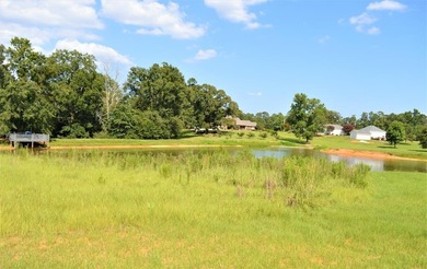 (private lake, pond, creek) Acreage For Sale in Mccomb Mississippi