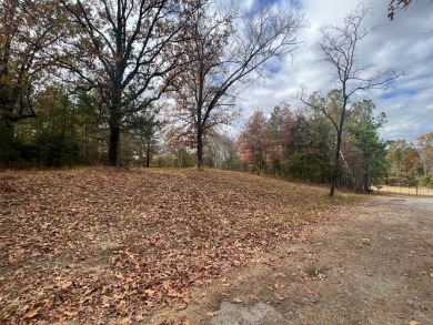 Grenada Reservoir Acreage For Sale in Grenada Mississippi