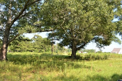 +/- 5 acres of land for sale on Berkshire LN directly across - photo 2