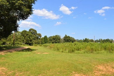 +/- 5 acres of land for sale on Berkshire LN directly across - photo 3