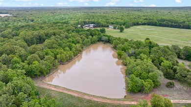 Experience the freedom of wide-open Texas living on this - photo 4
