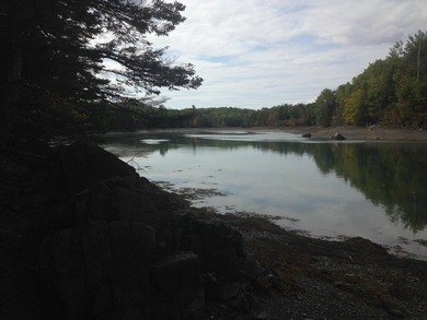 5.5 acres in South Bay Subdivision with water views and quiet - photo 2