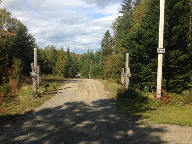 5.5 acres in South Bay Subdivision with water views and quiet - photo 3