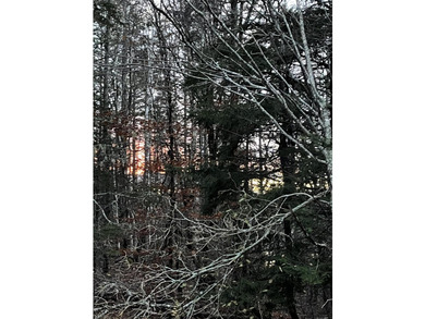 5.5 acres in South Bay Subdivision with water views and quiet - photo 8
