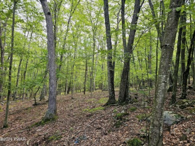 Walker Lake Lot For Sale in Shohola Pennsylvania