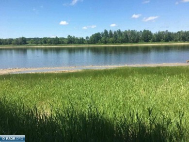 Rainy River - Koochiching County Acreage For Sale in International Falls Minnesota