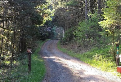 Want that gorgeous wood acreage in the foothills of the Oregon - photo 4
