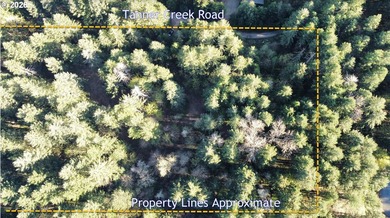 Want that gorgeous wood acreage in the foothills of the Oregon - photo 5