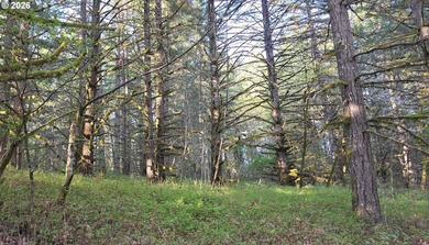 Want that gorgeous wood acreage in the foothills of the Oregon - photo 6