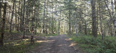 Want that gorgeous wood acreage in the foothills of the Oregon - photo 7