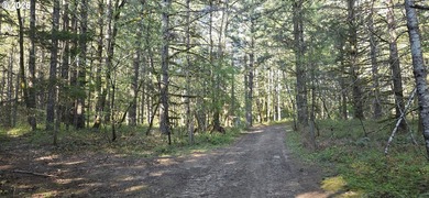 Want that gorgeous wood acreage in the foothills of the Oregon - photo 10