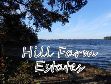 Lake Acreage For Sale in Whiting, Maine