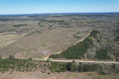 (private lake, pond, coastal) Acreage For Sale in Centreville Mississippi