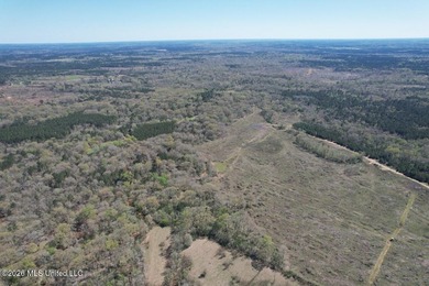 If you've been looking for a tract you can truly make your own - photo 2