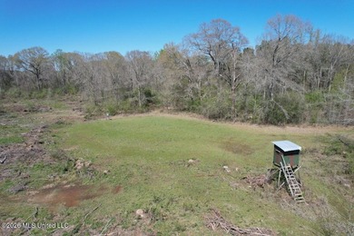 If you've been looking for a tract you can truly make your own - photo 7