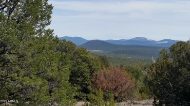 (private lake, pond, creek) Acreage For Sale in Vernon Arizona