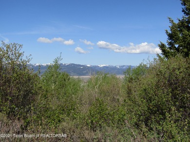 (private lake, pond, creek) Acreage Sale Pending in Victor Idaho