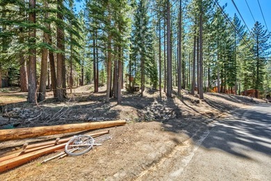 Stunning vacant lot in the Tahoe Paradise area overlooking the - photo 6