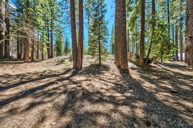 Stunning vacant lot in the Tahoe Paradise area overlooking the - photo 8