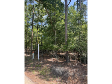 Lake Lot For Sale in Lincolnton, Georgia