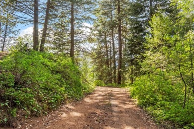 Lake Lot For Sale in Cascade, Idaho