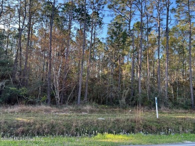 Wide, deep lot located on North Street. Lot offers opportunity - photo 1