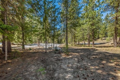 Lake Acreage For Sale in Mccall, Idaho