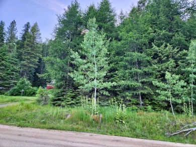 Lake Lot For Sale in Donnelly, Idaho