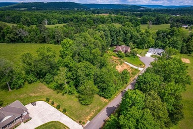 LOT 15 DEER RUN SUB. GREAT LOCATION BETWEEN SPARTA AND - photo 6