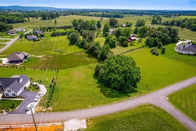LOT 15 DEER RUN SUB. GREAT LOCATION BETWEEN SPARTA AND - photo 8