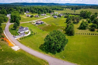 LOT 15 DEER RUN SUB. GREAT LOCATION BETWEEN SPARTA AND - photo 9