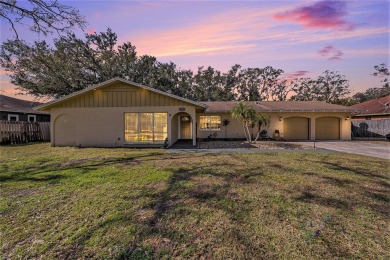 Lake Home For Sale in Land O Lakes, Florida