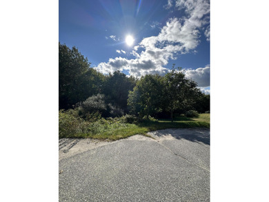 Lower Patten Pond Acreage For Sale in Ellsworth Maine