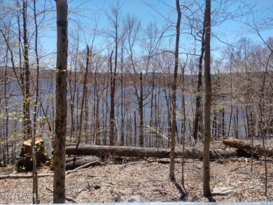 Lake Lot For Sale in Lake Ariel, Pennsylvania