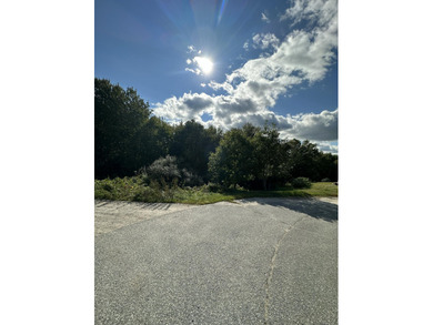 Large wooded lot nestled in an established neighborhood close to - photo 3