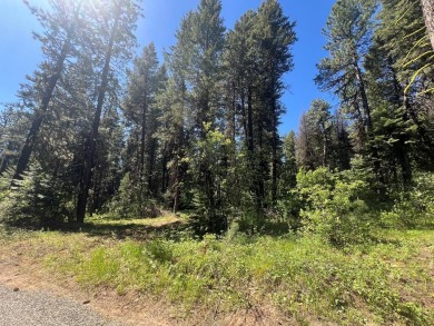 Lake Lot For Sale in Cascade, Idaho